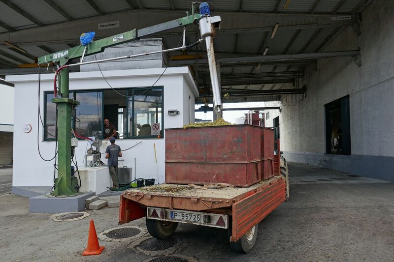 DC 22-0808-039.jpg :: Saga Douro River Cruise, Favaios:  The building in the image is the Adega Cooperativa de Favaios, a renowned winery located in the village of Favaios within the Douro wine region of Portugal. The winery is famous for producing one of Portugal's most iconic fortified wines, Moscatel de Favaios. The winery is nestled in the picturesque Alto Douro wine region of Portugal, a UNESCO World Heritage site. Founded in 1952, the cooperative was established by local producers to create their famous Moscatel wine. While most famous for its Moscatel, the winery also produces DOC Douro wines (white, red, and rosé), sparkling wines, and Port wine. Local wine producers bringing their grapes for quality checking and unloading. The quality check being made where sample is taken and measured. Photo taken 02/09/2022