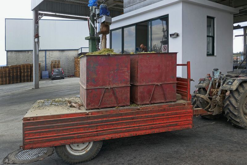 DC 22-0808-040.jpg :: Saga Douro River Cruise, Favaios:  The building in the image is the Adega Cooperativa de Favaios, a renowned winery located in the village of Favaios within the Douro wine region of Portugal. The winery is famous for producing one of Portugal's most iconic fortified wines, Moscatel de Favaios. The winery is nestled in the picturesque Alto Douro wine region of Portugal, a UNESCO World Heritage site. Founded in 1952, the cooperative was established by local producers to create their famous Moscatel wine. While most famous for its Moscatel, the winery also produces DOC Douro wines (white, red, and rosé), sparkling wines, and Port wine. Local wine producers bringing their grapes for quality checking and unloading. The quality check being made where sample is taken and measured. Photo taken 02/09/2022