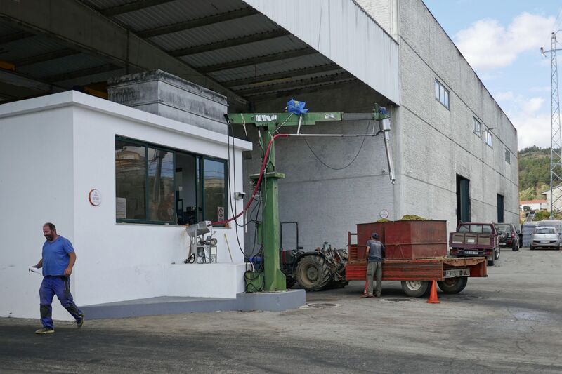 DC 22-0808-041.jpg :: Saga Douro River Cruise, Favaios:  The building in the image is the Adega Cooperativa de Favaios, a renowned winery located in the village of Favaios within the Douro wine region of Portugal. The winery is famous for producing one of Portugal's most iconic fortified wines, Moscatel de Favaios. The winery is nestled in the picturesque Alto Douro wine region of Portugal, a UNESCO World Heritage site. Founded in 1952, the cooperative was established by local producers to create their famous Moscatel wine. While most famous for its Moscatel, the winery also produces DOC Douro wines (white, red, and rosé), sparkling wines, and Port wine. Local wine producers bringing their grapes for quality checking and unloading. The quality check being made where sample is taken and measured. Photo taken 02/09/2022