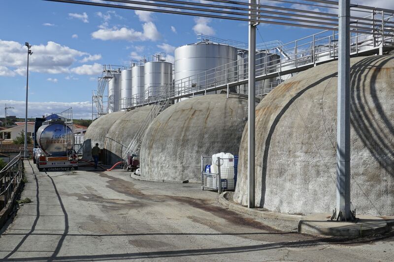 DC 22-0808-043.jpg :: Saga Douro River Cruise, Favaios:  The building in the image is the Adega Cooperativa de Favaios, a renowned winery located in the village of Favaios within the Douro wine region of Portugal. The winery is famous for producing one of Portugal's most iconic fortified wines, Moscatel de Favaios. The winery is nestled in the picturesque Alto Douro wine region of Portugal, a UNESCO World Heritage site. Founded in 1952, the cooperative was established by local producers to create their famous Moscatel wine. While most famous for its Moscatel, the winery also produces DOC Douro wines (white, red, and rosé), sparkling wines, and Port wine. Local wine producers bringing their grapes for quality checking and unloading. Storage tanks. Photo taken 02/09/2022