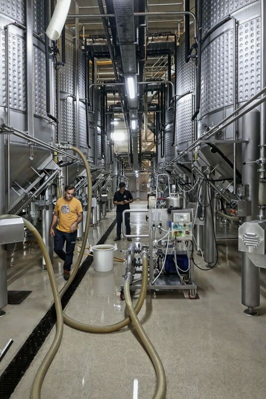 DC 22-0808-050.jpg :: Saga Douro River Cruise, Favaios:  The building in the image is the Adega Cooperativa de Favaios, a renowned winery located in the village of Favaios within the Douro wine region of Portugal. The winery is famous for producing one of Portugal's most iconic fortified wines, Moscatel de Favaios. The winery is nestled in the picturesque Alto Douro wine region of Portugal, a UNESCO World Heritage site. Founded in 1952, the cooperative was established by local producers to create their famous Moscatel wine. While most famous for its Moscatel, the winery also produces DOC Douro wines (white, red, and rosé), sparkling wines, and Port wine. Fermentation tanks. Photo taken 02/09/2022