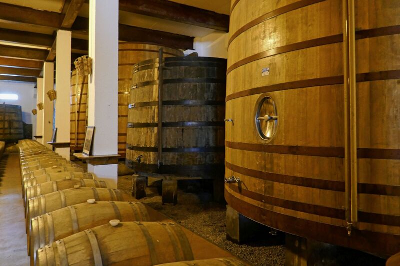 DC 22-0808-051.jpg :: Saga Douro River Cruise, Favaios:  The building in the image is the Adega Cooperativa de Favaios, a renowned winery located in the village of Favaios within the Douro wine region of Portugal. The winery is famous for producing one of Portugal's most iconic fortified wines, Moscatel de Favaios. The winery is nestled in the picturesque Alto Douro wine region of Portugal, a UNESCO World Heritage site. Founded in 1952, the cooperative was established by local producers to create their famous Moscatel wine. While most famous for its Moscatel, the winery also produces DOC Douro wines (white, red, and rosé), sparkling wines, and Port wine. Wine barrels. Photo taken 02/09/2022