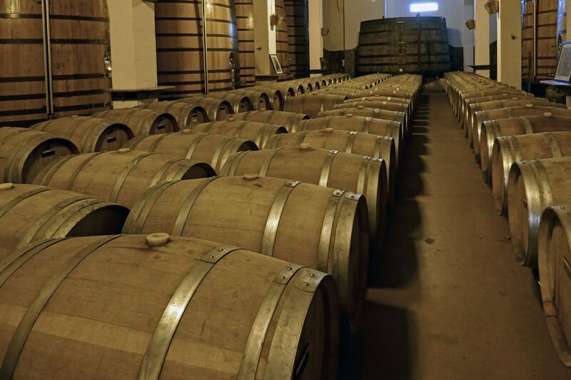 DC 22-0808-052.jpg :: Saga Douro River Cruise, Favaios:  The building in the image is the Adega Cooperativa de Favaios, a renowned winery located in the village of Favaios within the Douro wine region of Portugal. The winery is famous for producing one of Portugal's most iconic fortified wines, Moscatel de Favaios. The winery is nestled in the picturesque Alto Douro wine region of Portugal, a UNESCO World Heritage site. Founded in 1952, the cooperative was established by local producers to create their famous Moscatel wine. While most famous for its Moscatel, the winery also produces DOC Douro wines (white, red, and rosé), sparkling wines, and Port wine. Wine barrels. Photo taken 02/09/2022