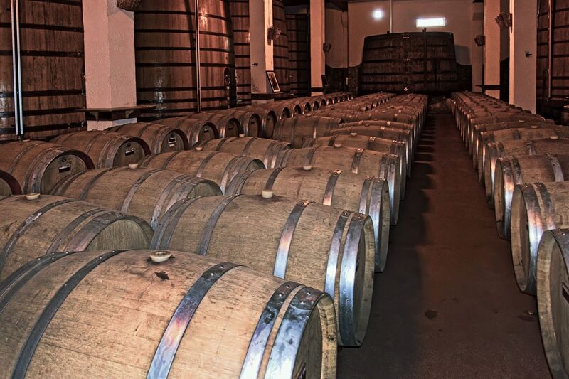 DC 22-0808-053.jpg :: Saga Douro River Cruise, Favaios:  The building in the image is the Adega Cooperativa de Favaios, a renowned winery located in the village of Favaios within the Douro wine region of Portugal. The winery is famous for producing one of Portugal's most iconic fortified wines, Moscatel de Favaios. The winery is nestled in the picturesque Alto Douro wine region of Portugal, a UNESCO World Heritage site. Founded in 1952, the cooperative was established by local producers to create their famous Moscatel wine. While most famous for its Moscatel, the winery also produces DOC Douro wines (white, red, and rosé), sparkling wines, and Port wine. Wine barrels. Photo taken 02/09/2022