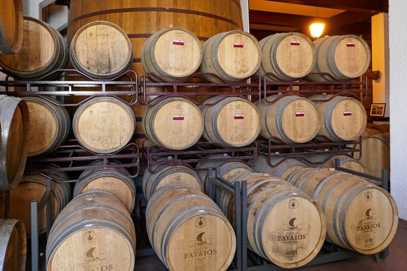 DC 22-0808-055.jpg :: Saga Douro River Cruise, Favaios:  The building in the image is the Adega Cooperativa de Favaios, a renowned winery located in the village of Favaios within the Douro wine region of Portugal. The winery is famous for producing one of Portugal's most iconic fortified wines, Moscatel de Favaios. The winery is nestled in the picturesque Alto Douro wine region of Portugal, a UNESCO World Heritage site. Founded in 1952, the cooperative was established by local producers to create their famous Moscatel wine. While most famous for its Moscatel, the winery also produces DOC Douro wines (white, red, and rosé), sparkling wines, and Port wine. Wine barrels. Photo taken 02/09/2022