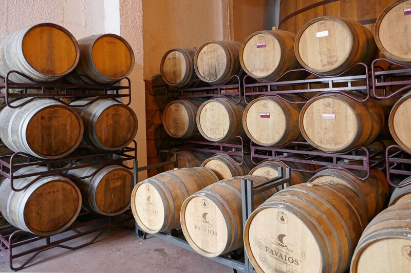 DC 22-0808-056.jpg :: Saga Douro River Cruise, Favaios:  The building in the image is the Adega Cooperativa de Favaios, a renowned winery located in the village of Favaios within the Douro wine region of Portugal. The winery is famous for producing one of Portugal's most iconic fortified wines, Moscatel de Favaios. The winery is nestled in the picturesque Alto Douro wine region of Portugal, a UNESCO World Heritage site. Founded in 1952, the cooperative was established by local producers to create their famous Moscatel wine. While most famous for its Moscatel, the winery also produces DOC Douro wines (white, red, and rosé), sparkling wines, and Port wine. Wine barrels. Photo taken 02/09/2022