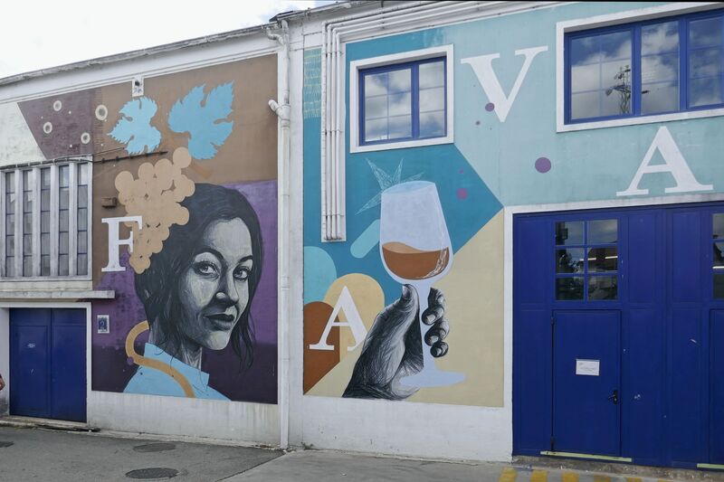 DC 22-0808-064.jpg :: Saga Douro River Cruise, Favaios:  The building in the image is the Adega Cooperativa de Favaios, a renowned winery located in the village of Favaios within the Douro wine region of Portugal. The winery is famous for producing one of Portugal's most iconic fortified wines, Moscatel de Favaios. The winery is nestled in the picturesque Alto Douro wine region of Portugal, a UNESCO World Heritage site. Founded in 1952, the cooperative was established by local producers to create their famous Moscatel wine. While most famous for its Moscatel, the winery also produces DOC Douro wines (white, red, and rosé), sparkling wines, and Port wine. This vibrant street art is a mural on the building of the Adega Cooperativa de Favaios. The central theme represents two female figures, a younger one and an older one, symbolizing the passage of time and the intergenerational legacy of women in the Douro region. The younger figure conveys freshness and the future, while the older one, with a sunny smile and wrinkles, evokes memory and the experience of the past. It is a tribute to the female strength of the region, blending tradition with contemporary art. Photo taken 02/09/2022