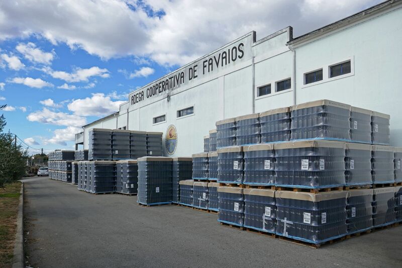 DC 22-0808-065.jpg :: Saga Douro River Cruise, Favaios:  The building in the image is the Adega Cooperativa de Favaios, a renowned winery located in the village of Favaios within the Douro wine region of Portugal. The winery is famous for producing one of Portugal's most iconic fortified wines, Moscatel de Favaios. The winery is nestled in the picturesque Alto Douro wine region of Portugal, a UNESCO World Heritage site. Founded in 1952, the cooperative was established by local producers to create their famous Moscatel wine. While most famous for its Moscatel, the winery also produces DOC Douro wines (white, red, and rosé), sparkling wines, and Port wine. Photo taken 02/09/2022