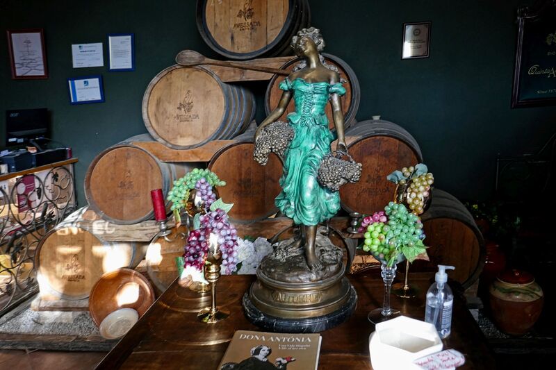 DC 22-0808-075.jpg :: Saga Douro River Cruise, Favaios, Avessada Wine Estate: Quinta da Avessada is located in the centre of the Douro demarcated region at its highest point (at an altitude of 600 meters) and the flattest point in the whole region (about 1,000ha of plateau), consisting of four buildings (one of them is one hundred years old) and 25ha of planting. Due to this, 90% of its plantation is destined to the production of Muscat grapes, with which Moscatel de Favaios is produced, and is designated a national apéritif. It is the Wine-Growing Village of Favaios. Table decoration. Photo taken 02/09/2022