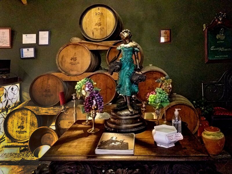 DC 22-0808-076.jpg :: Saga Douro River Cruise, Favaios, Avessada Wine Estate: Quinta da Avessada is located in the centre of the Douro demarcated region at its highest point (at an altitude of 600 meters) and the flattest point in the whole region (about 1,000ha of plateau), consisting of four buildings (one of them is one hundred years old) and 25ha of planting. Due to this, 90% of its plantation is destined to the production of Muscat grapes, with which Moscatel de Favaios is produced, and is designated a national apéritif. It is the Wine-Growing Village of Favaios. Table decoration. Photo taken 02/09/2022