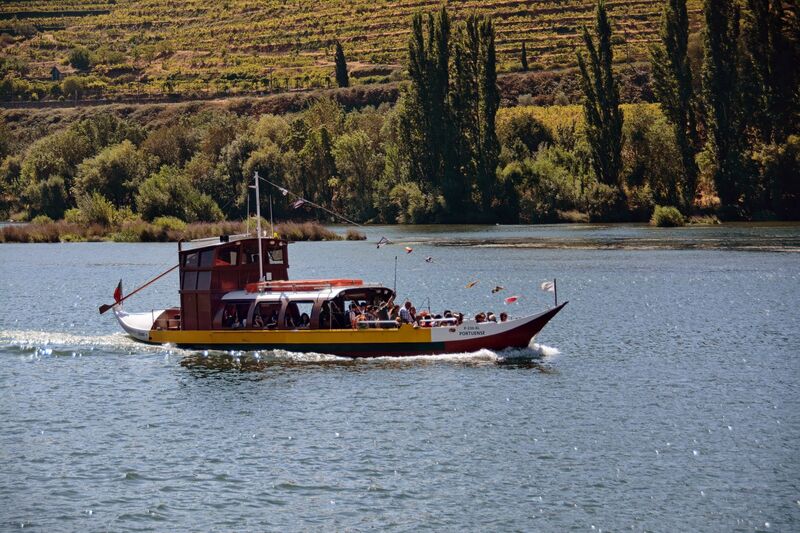 DC 22-0809-011.jpg :: Saga Douro River Cruise, Pinhao to Regua, Portugal: This scenic boat ride is a Rabelo cruise on the Douro River in Portugal. The vessel pictured is a traditional Rabelo boat, which historically transported port wine barrels from the vineyards of the Douro Valley to the cellars in Porto. These cruises are a popular way to explore the UNESCO World Heritage-listed Douro Valley. Tours typically depart from cities like Porto, Peso da Régua, or Pinhão. Photo taken 03/09/2022