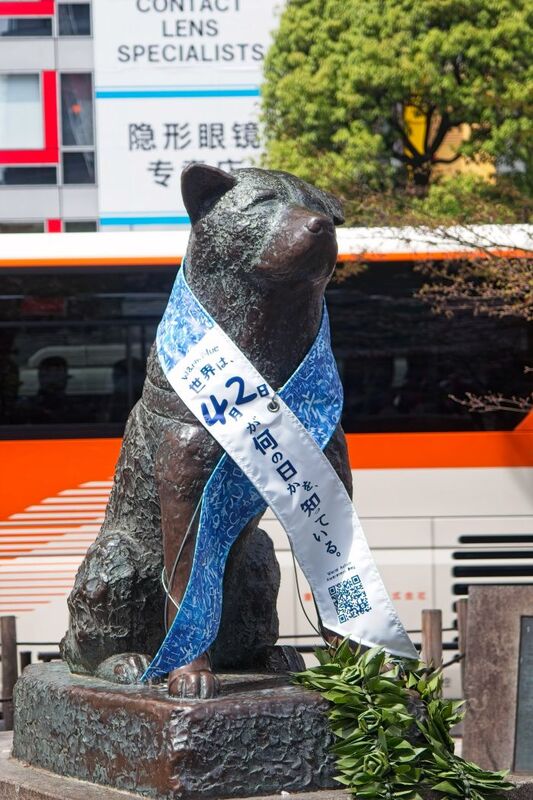 DC 23-0677-024.jpg :: Iglu Tour, Ultimate Japan & Cherry Blossom: Tokyo, Japan, A statue of the Akita dog Hachik?, remembered for his unwavering loyalty to his deceased owner, is installed outside Tokyo's Shibuya Station, in Japan. In April 1934, a bronze statue based in his likeness sculpted by Teru And? was erected at Shibuya Station, and Hachik? himself was present at its unveiling. The statue was recycled for the war effort during World War II. Photo taken 31/03/2023