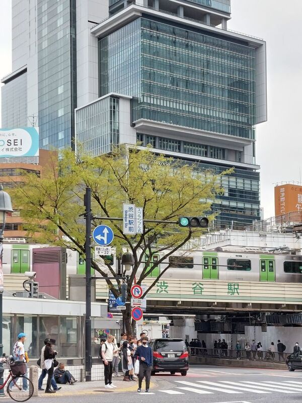 DC 23-0677-038.jpg :: Iglu Tour, Ultimate Japan & Cherry Blossom: Tokyo, Japan. Shibuya, is a special ward in Tokyo, Japan. A major commercial centre, Shibuya houses two of the busiest railway stations in the world, Shibuya Station and Shinjuku Station. Photo taken 31/03/2023