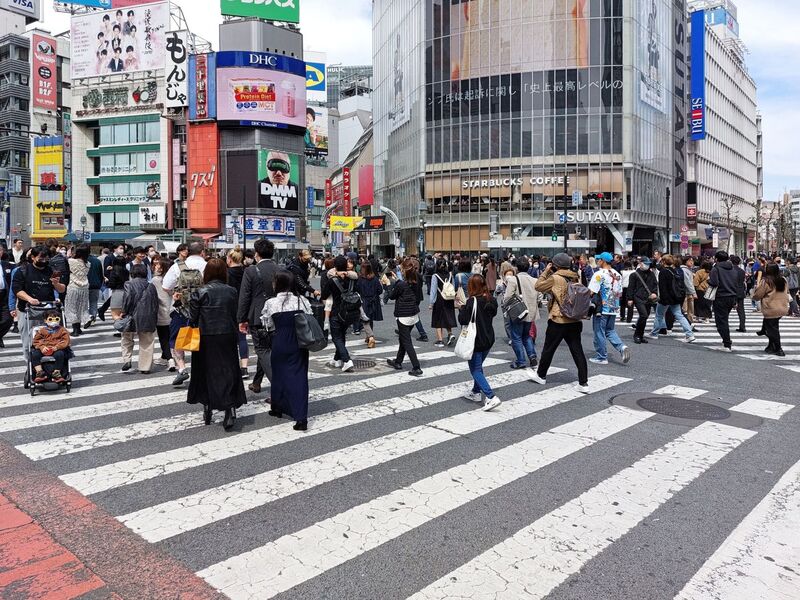DC 23-0677-041.jpg :: Iglu Tour, Ultimate Japan & Cherry Blossom: Tokyo, Japan. The most famous pedestrian crossing in Tokyo is the Shibuya Crossing, also known as the Shibuya Scramble Crossing. It's the world's busiest pedestrian crossing, with thousands of people crossing simultaneously when the lights turn red for cars. This iconic landmark is located in front of Shibuya Station's Hachiko exit and is a must-see for any visitor to Tokyo. Photo taken 31/03/2023