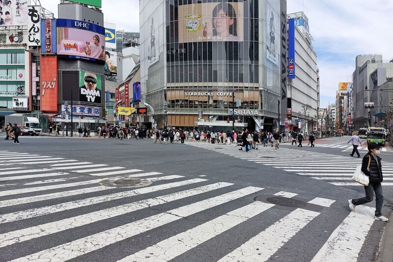 DC 23-0677-042.jpg :: Iglu Tour, Ultimate Japan & Cherry Blossom: Tokyo, Japan. The most famous pedestrian crossing in Tokyo is the Shibuya Crossing, also known as the Shibuya Scramble Crossing. It's the world's busiest pedestrian crossing, with thousands of people crossing simultaneously when the lights turn red for cars. This iconic landmark is located in front of Shibuya Station's Hachiko exit and is a must-see for any visitor to Tokyo. Photo taken 31/03/2023