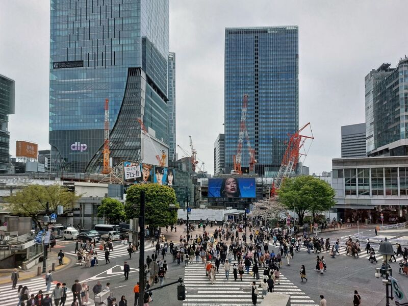 DC 23-0677-047.jpg :: Iglu Tour, Ultimate Japan & Cherry Blossom: Tokyo, Japan. The most famous pedestrian crossing in Tokyo is the Shibuya Crossing, also known as the Shibuya Scramble Crossing. It's the world's busiest pedestrian crossing, with thousands of people crossing simultaneously when the lights turn red for cars. This iconic landmark is located in front of Shibuya Station's Hachiko exit and is a must-see for any visitor to Tokyo. View from 1st floor Starbucks Coffee. Photo taken 31/03/2023