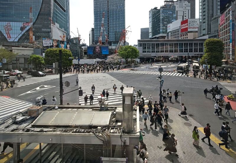DC 23-0677-055.jpg :: Iglu Tour, Ultimate Japan & Cherry Blossom: Tokyo, Japan. The most famous pedestrian crossing in Tokyo is the Shibuya Crossing, also known as the Shibuya Scramble Crossing. It's the world's busiest pedestrian crossing, with thousands of people crossing simultaneously when the lights turn red for cars. This iconic landmark is located in front of Shibuya Station's Hachiko exit and is a must-see for any visitor to Tokyo. View from 1st floor Starbucks Coffee. Photo taken 31/03/2023