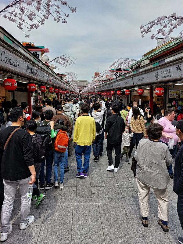 DC 23-0677-075.jpg :: Iglu Tour, Ultimate Japan & Cherry Blossom: Tokyo, Japan. Senso-ji, widely known as Asakusa Kannon Temple, is Tokyo’s oldest Buddhist temple. Located in Asakusa, one of Tokyo’s most lively and busy districts, Senso-ji is one of the most visited spiritual sites in the world. This bright and colourful temple attracts so many people from all over the world that at times it’s even hard to walk around the temple grounds. Senso-ji was founded almost one and half millennia ago, in 645. The legend says that in 628 two fishermen caught a statue of Kannon, the goddess of compassion, in the nearby Sumida River. They tried to get rid of it, but it kept coming back to them. Taking it as a sign, the head of the fishermen’s village erected Senso-ji in honour of Kannon. The temple holds the original Kannon statue, however it can never be seen by the public and is supposedly stored safely inside 3 boxes. P.s. Nakamise Dori, senso-ji. Nakamise Dori is a street full of stalls and small shops. The street stretches from the Kaminarimon Gate to the Hozomon Gate. Shops sell everything from souvenirs to snacks, toys and clothes. The street of Nakamise dates way back. Under the Tokugawa clans ruling locals who served visitors to the Senso-ji temple were given permissions to put up stalls on the street leading up to the temple. This is considered the beginning of Nakamise Dori as a shopping street. During the Meiji Restoration, when Senso-ji was converted to a park, the stall owners were kicked out by the government and western style buildings were constructed in 1885. These buildings were destroyed in a large earthquake in 1923. The shopping street was rebuilt in what was supposedly a magnificent and beautiful vermilion-lacquered style but was completely destroyed again during world war 2. Photo taken 31/03/2023
