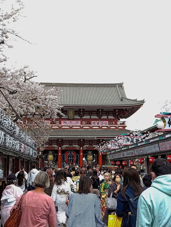 DC 23-0677-076.jpg :: Iglu Tour, Ultimate Japan & Cherry Blossom: Tokyo, Japan. Senso-ji, widely known as Asakusa Kannon Temple, is Tokyo’s oldest Buddhist temple. Located in Asakusa, one of Tokyo’s most lively and busy districts, Senso-ji is one of the most visited spiritual sites in the world. This bright and colourful temple attracts so many people from all over the world that at times it’s even hard to walk around the temple grounds. Senso-ji was founded almost one and half millennia ago, in 645. The legend says that in 628 two fishermen caught a statue of Kannon, the goddess of compassion, in the nearby Sumida River. They tried to get rid of it, but it kept coming back to them. Taking it as a sign, the head of the fishermen’s village erected Senso-ji in honour of Kannon. The temple holds the original Kannon statue; however it can never be seen by the public and is supposedly stored safely inside 3 boxes. P.s. Nakamise Dori, senso-ji. Nakamise Dori is a street full of stalls and small shops. The street stretches from the Kaminarimon Gate to the Hozomon Gate. Shops sell everything from souvenirs to snacks, toys and clothes. The street of Nakamise dates way back. Under the Tokugawa clans ruling locals who served visitors to the Senso-ji temple were given permissions to put up stalls on the street leading up to the temple. This is considered the beginning of Nakamise Dori as a shopping street. During the Meiji Restoration, when Senso-ji was converted to a park, the stall owners were kicked out by the government and western style buildings were constructed in 1885. These buildings were destroyed in a large earthquake in 1923. The shopping street was rebuilt in what was supposedly a magnificent and beautiful vermilion-lacquered style but was completely destroyed again during World War 2. At the rear Hozomon Gate – second gate. Photo taken 31/03/2023