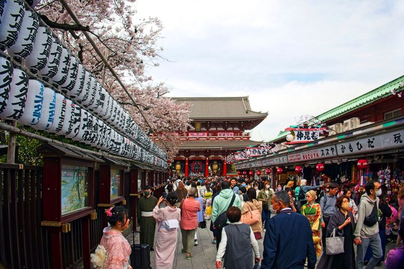 DC 23-0677-079.jpg :: Iglu Tour, Ultimate Japan & Cherry Blossom: Tokyo, Japan. Senso-ji, widely known as Asakusa Kannon Temple, is Tokyo’s oldest Buddhist temple. Located in Asakusa, one of Tokyo’s most lively and busy districts, Senso-ji is one of the most visited spiritual sites in the world. This bright and colourful temple attracts so many people from all over the world that at times it’s even hard to walk around the temple grounds. Senso-ji was founded almost one and half millennia ago, in 645. The legend says that in 628 two fishermen caught a statue of Kannon, the goddess of compassion, in the nearby Sumida River. They tried to get rid of it, but it kept coming back to them. Taking it as a sign, the head of the fishermen’s village erected Senso-ji in honour of Kannon. The temple holds the original Kannon statue; however it can never be seen by the public and is supposedly stored safely inside 3 boxes. P.s. Nakamise Dori, senso-ji. Nakamise Dori is a street full of stalls and small shops. The street stretches from the Kaminarimon Gate to the Hozomon Gate. Shops sell everything from souvenirs to snacks, toys and clothes. The street of Nakamise dates way back. Under the Tokugawa clans ruling locals who served visitors to the Senso-ji temple were given permissions to put up stalls on the street leading up to the temple. This is considered the beginning of Nakamise Dori as a shopping street. During the Meiji Restoration, when Senso-ji was converted to a park, the stall owners were kicked out by the government and western style buildings were constructed in 1885. These buildings were destroyed in a large earthquake in 1923. The shopping street was rebuilt in what was supposedly a magnificent and beautiful vermilion-lacquered style but was completely destroyed again during World War 2. At the rear Hozomon Gate – second gate. Photo taken 31/03/2023
