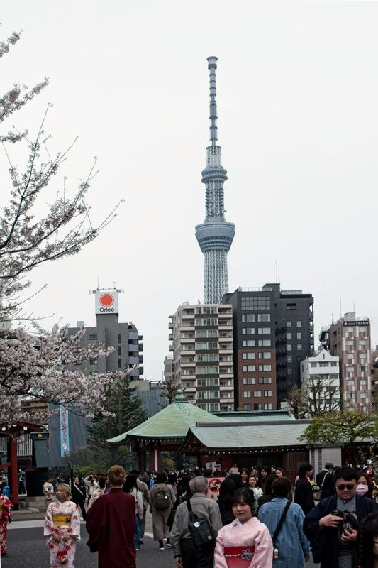 DC 23-0677-147.jpg :: Iglu Tour, Ultimate Japan & Cherry Blossom: Tokyo, Japan. P.s. Tokyo Skytree Tower seen from Senso-ji Temple in Asakusa old district. Photo taken 31/03/2023