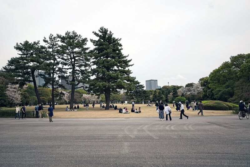 DC 23-0677-155.jpg :: Iglu Tour, Ultimate Japan & Cherry Blossom: Tokyo, Japan. The current Imperial Palace is located on the former site of Edo Castle, a large park area surrounded by moats and massive stone walls in the centre of Tokyo, a short walk from Tokyo Station. It is the residence of Japan's Imperial Family. Imperial Palace East Gardens, K?kyo Higashi Gyoen are part of the inner palace area and open to the public. They are the former site of Edo Castle's innermost circles of defence, the honmaru (\