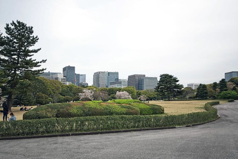DC 23-0677-156.jpg :: Iglu Tour, Ultimate Japan & Cherry Blossom: Tokyo, Japan. The current Imperial Palace is located on the former site of Edo Castle, a large park area surrounded by moats and massive stone walls in the centre of Tokyo, a short walk from Tokyo Station. It is the residence of Japan's Imperial Family. Imperial Palace East Gardens, K?kyo Higashi Gyoen are part of the inner palace area and open to the public. They are the former site of Edo Castle's innermost circles of defence, the honmaru (\