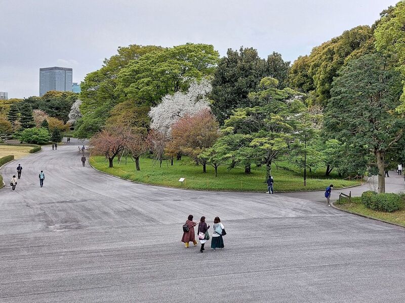 DC 23-0677-157.jpg :: Iglu Tour, Ultimate Japan & Cherry Blossom: Tokyo, Japan. The current Imperial Palace is located on the former site of Edo Castle, a large park area surrounded by moats and massive stone walls in the centre of Tokyo, a short walk from Tokyo Station. It is the residence of Japan's Imperial Family. Imperial Palace East Gardens, K?kyo Higashi Gyoen are part of the inner palace area and open to the public. They are the former site of Edo Castle's innermost circles of defence, the honmaru (\