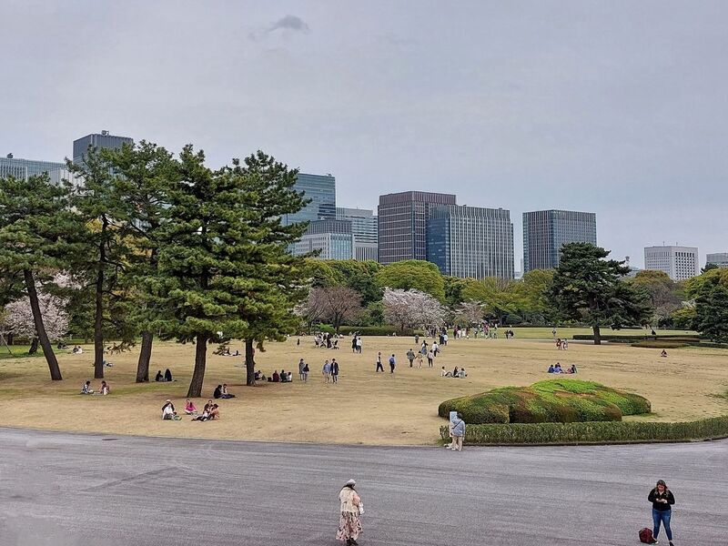 DC 23-0677-158.jpg :: Iglu Tour, Ultimate Japan & Cherry Blossom: Tokyo, Japan. The current Imperial Palace is located on the former site of Edo Castle, a large park area surrounded by moats and massive stone walls in the centre of Tokyo, a short walk from Tokyo Station. It is the residence of Japan's Imperial Family. Imperial Palace East Gardens, K?kyo Higashi Gyoen are part of the inner palace area and open to the public. They are the former site of Edo Castle's innermost circles of defence, the honmaru (\