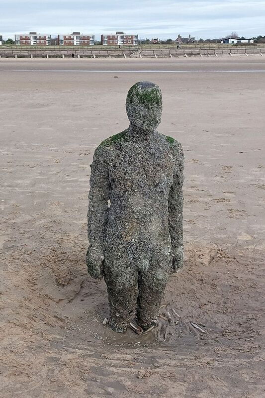 DC 24-0746-028.jpg :: Crosby Beech, Merseyside: Commonly referred to as ‘The Iron Men’ (or even the Crosby Beach statues), the art installation is officially called ‘Another Place’. Another Place was created by world-famous artist and sculptor Sir Antony Gormley, who famously created The Angel of the North. The Iron Men consist of 100 cast iron figures that have been installed along Crosby Beach facing the sea. The figures themselves are modelled from Antony Gormley’s body, and they were cast in the UK in both Halifax and West Bromwich. The Iron Men arrived in Liverpool in July 2005, but their story begins nearly 10 years earlier. In 1997, Another Place was first installed on Cuxhaven beach, in Lower Saxony, Germany. From there, they went to Stavanger in Norway and then to De Panne in Belgium. When The Iron Men found their new home at Crosby Beach in 2005, it was only supposed to be temporary. Photo taken 27/10/2024