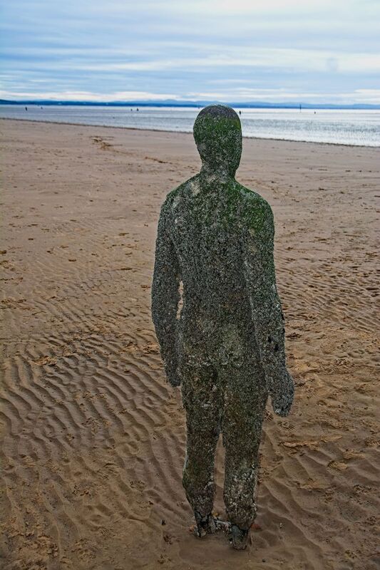 DC 24-0746-032.jpg :: Crosby Beech, Merseyside: Commonly referred to as ‘The Iron Men’ (or even the Crosby Beach statues), the art installation is officially called ‘Another Place’. Another Place was created by world-famous artist and sculptor Sir Antony Gormley, who famously created The Angel of the North. The Iron Men consist of 100 cast iron figures that have been installed along Crosby Beach facing the sea. The figures themselves are modelled from Antony Gormley’s body, and they were cast in the UK in both Halifax and West Bromwich. The Iron Men arrived in Liverpool in July 2005, but their story begins nearly 10 years earlier. In 1997, Another Place was first installed on Cuxhaven beach, in Lower Saxony, Germany. From there, they went to Stavanger in Norway and then to De Panne in Belgium. When The Iron Men found their new home at Crosby Beach in 2005, it was only supposed to be temporary. Photo taken 27/10/2024