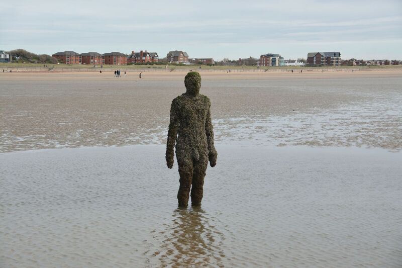 DC 24-0746-033.jpg :: Crosby Beech, Merseyside: Commonly referred to as ‘The Iron Men’ (or even the Crosby Beach statues), the art installation is officially called ‘Another Place’. Another Place was created by world-famous artist and sculptor Sir Antony Gormley, who famously created The Angel of the North. The Iron Men consist of 100 cast iron figures that have been installed along Crosby Beach facing the sea. The figures themselves are modelled from Antony Gormley’s body, and they were cast in the UK in both Halifax and West Bromwich. The Iron Men arrived in Liverpool in July 2005, but their story begins nearly 10 years earlier. In 1997, Another Place was first installed on Cuxhaven beach, in Lower Saxony, Germany. From there, they went to Stavanger in Norway and then to De Panne in Belgium. When The Iron Men found their new home at Crosby Beach in 2005, it was only supposed to be temporary. Photo taken 27/10/2024