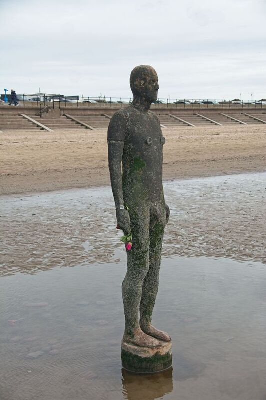 DC 24-0746-035.jpg :: Crosby Beech, Merseyside: Commonly referred to as ‘The Iron Men’ (or even the Crosby Beach statues), the art installation is officially called ‘Another Place’. Another Place was created by world-famous artist and sculptor Sir Antony Gormley, who famously created The Angel of the North. The Iron Men consist of 100 cast iron figures that have been installed along Crosby Beach facing the sea. The figures themselves are modelled from Antony Gormley’s body, and they were cast in the UK in both Halifax and West Bromwich. The Iron Men arrived in Liverpool in July 2005, but their story begins nearly 10 years earlier. In 1997, Another Place was first installed on Cuxhaven beach, in Lower Saxony, Germany. From there, they went to Stavanger in Norway and then to De Panne in Belgium. When The Iron Men found their new home at Crosby Beach in 2005, it was only supposed to be temporary. Photo taken 27/10/2024