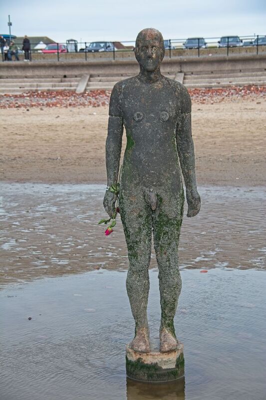 DC 24-0746-036.jpg :: Crosby Beech, Merseyside: Commonly referred to as ‘The Iron Men’ (or even the Crosby Beach statues), the art installation is officially called ‘Another Place’. Another Place was created by world-famous artist and sculptor Sir Antony Gormley, who famously created The Angel of the North. The Iron Men consist of 100 cast iron figures that have been installed along Crosby Beach facing the sea. The figures themselves are modelled from Antony Gormley’s body, and they were cast in the UK in both Halifax and West Bromwich. The Iron Men arrived in Liverpool in July 2005, but their story begins nearly 10 years earlier. In 1997, Another Place was first installed on Cuxhaven beach, in Lower Saxony, Germany. From there, they went to Stavanger in Norway and then to De Panne in Belgium. When The Iron Men found their new home at Crosby Beach in 2005, it was only supposed to be temporary. Photo taken 27/10/2024