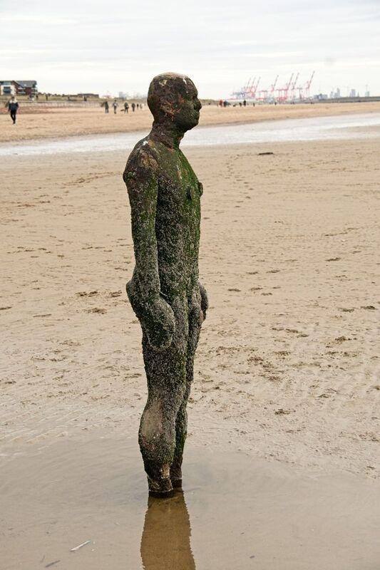 DC 24-0746-038.jpg :: Crosby Beech, Merseyside: Commonly referred to as ‘The Iron Men’ (or even the Crosby Beach statues), the art installation is officially called ‘Another Place’. Another Place was created by world-famous artist and sculptor Sir Antony Gormley, who famously created The Angel of the North. The Iron Men consist of 100 cast iron figures that have been installed along Crosby Beach facing the sea. The figures themselves are modelled from Antony Gormley’s body, and they were cast in the UK in both Halifax and West Bromwich. The Iron Men arrived in Liverpool in July 2005, but their story begins nearly 10 years earlier. In 1997, Another Place was first installed on Cuxhaven beach, in Lower Saxony, Germany. From there, they went to Stavanger in Norway and then to De Panne in Belgium. When The Iron Men found their new home at Crosby Beach in 2005, it was only supposed to be temporary. Photo taken 27/10/2024