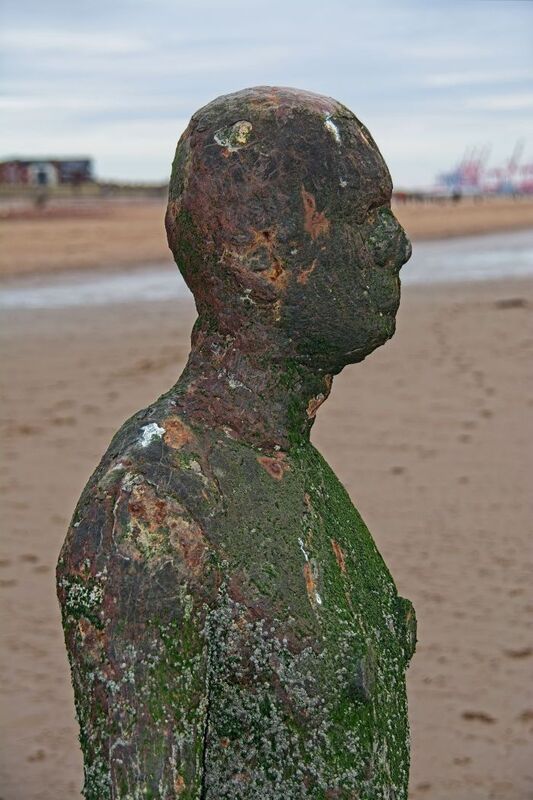 DC 24-0746-039.jpg :: Crosby Beech, Merseyside: Commonly referred to as ‘The Iron Men’ (or even the Crosby Beach statues), the art installation is officially called ‘Another Place’. Another Place was created by world-famous artist and sculptor Sir Antony Gormley, who famously created The Angel of the North. The Iron Men consist of 100 cast iron figures that have been installed along Crosby Beach facing the sea. The figures themselves are modelled from Antony Gormley’s body, and they were cast in the UK in both Halifax and West Bromwich. The Iron Men arrived in Liverpool in July 2005, but their story begins nearly 10 years earlier. In 1997, Another Place was first installed on Cuxhaven beach, in Lower Saxony, Germany. From there, they went to Stavanger in Norway and then to De Panne in Belgium. When The Iron Men found their new home at Crosby Beach in 2005, it was only supposed to be temporary. Photo taken 27/10/2024