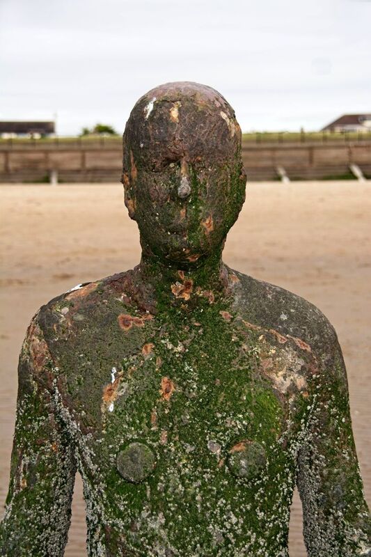 DC 24-0746-040.jpg :: Crosby Beech, Merseyside: Commonly referred to as ‘The Iron Men’ (or even the Crosby Beach statues), the art installation is officially called ‘Another Place’. Another Place was created by world-famous artist and sculptor Sir Antony Gormley, who famously created The Angel of the North. The Iron Men consist of 100 cast iron figures that have been installed along Crosby Beach facing the sea. The figures themselves are modelled from Antony Gormley’s body, and they were cast in the UK in both Halifax and West Bromwich. The Iron Men arrived in Liverpool in July 2005, but their story begins nearly 10 years earlier. In 1997, Another Place was first installed on Cuxhaven beach, in Lower Saxony, Germany. From there, they went to Stavanger in Norway and then to De Panne in Belgium. When The Iron Men found their new home at Crosby Beach in 2005, it was only supposed to be temporary. Photo taken 27/10/2024