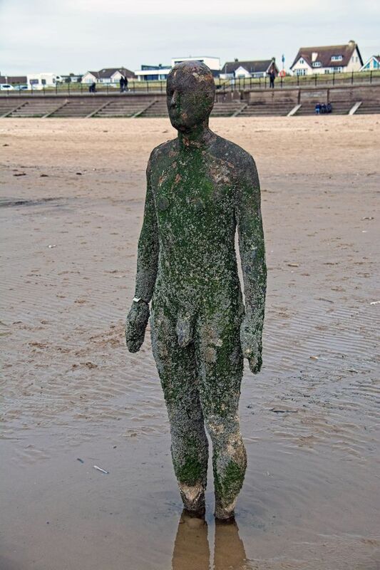 DC 24-0746-042.jpg :: Crosby Beech, Merseyside: Commonly referred to as ‘The Iron Men’ (or even the Crosby Beach statues), the art installation is officially called ‘Another Place’. Another Place was created by world-famous artist and sculptor Sir Antony Gormley, who famously created The Angel of the North. The Iron Men consist of 100 cast iron figures that have been installed along Crosby Beach facing the sea. The figures themselves are modelled from Antony Gormley’s body, and they were cast in the UK in both Halifax and West Bromwich. The Iron Men arrived in Liverpool in July 2005, but their story begins nearly 10 years earlier. In 1997, Another Place was first installed on Cuxhaven beach, in Lower Saxony, Germany. From there, they went to Stavanger in Norway and then to De Panne in Belgium. When The Iron Men found their new home at Crosby Beach in 2005, it was only supposed to be temporary. Photo taken 27/10/2024