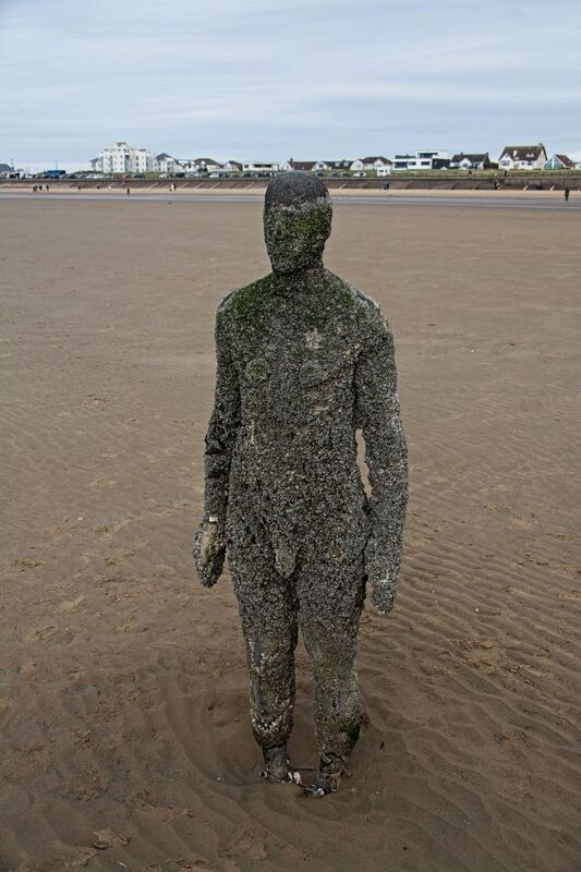 DC 24-0746-043.jpg :: Crosby Beech, Merseyside: Commonly referred to as ‘The Iron Men’ (or even the Crosby Beach statues), the art installation is officially called ‘Another Place’. Another Place was created by world-famous artist and sculptor Sir Antony Gormley, who famously created The Angel of the North. The Iron Men consist of 100 cast iron figures that have been installed along Crosby Beach facing the sea. The figures themselves are modelled from Antony Gormley’s body, and they were cast in the UK in both Halifax and West Bromwich. The Iron Men arrived in Liverpool in July 2005, but their story begins nearly 10 years earlier. In 1997, Another Place was first installed on Cuxhaven beach, in Lower Saxony, Germany. From there, they went to Stavanger in Norway and then to De Panne in Belgium. When The Iron Men found their new home at Crosby Beach in 2005, it was only supposed to be temporary. Photo taken 27/10/2024