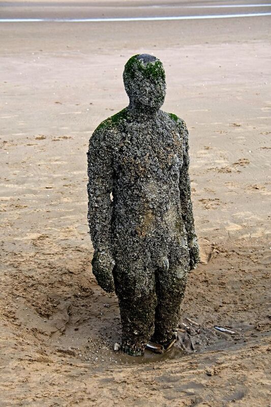 DC 24-0746-044.jpg :: Crosby Beech, Merseyside: Commonly referred to as ‘The Iron Men’ (or even the Crosby Beach statues), the art installation is officially called ‘Another Place’. Another Place was created by world-famous artist and sculptor Sir Antony Gormley, who famously created The Angel of the North. The Iron Men consist of 100 cast iron figures that have been installed along Crosby Beach facing the sea. The figures themselves are modelled from Antony Gormley’s body, and they were cast in the UK in both Halifax and West Bromwich. The Iron Men arrived in Liverpool in July 2005, but their story begins nearly 10 years earlier. In 1997, Another Place was first installed on Cuxhaven beach, in Lower Saxony, Germany. From there, they went to Stavanger in Norway and then to De Panne in Belgium. When The Iron Men found their new home at Crosby Beach in 2005, it was only supposed to be temporary. Photo taken 27/10/2024