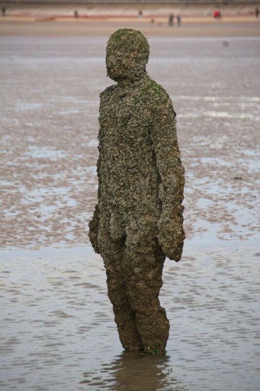 DC 24-0746-047.jpg :: Crosby Beech, Merseyside: Commonly referred to as ‘The Iron Men’ (or even the Crosby Beach statues), the art installation is officially called ‘Another Place’. Another Place was created by world-famous artist and sculptor Sir Antony Gormley, who famously created The Angel of the North. The Iron Men consist of 100 cast iron figures that have been installed along Crosby Beach facing the sea. The figures themselves are modelled from Antony Gormley’s body, and they were cast in the UK in both Halifax and West Bromwich. The Iron Men arrived in Liverpool in July 2005, but their story begins nearly 10 years earlier. In 1997, Another Place was first installed on Cuxhaven beach, in Lower Saxony, Germany. From there, they went to Stavanger in Norway and then to De Panne in Belgium. When The Iron Men found their new home at Crosby Beach in 2005, it was only supposed to be temporary. Photo taken 27/10/2024
