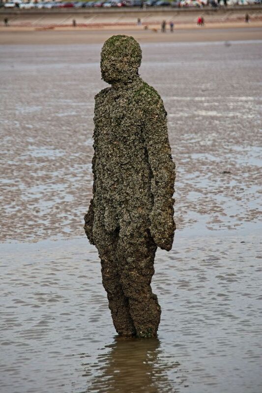 DC 24-0746-048.jpg :: Crosby Beech, Merseyside: Commonly referred to as ‘The Iron Men’ (or even the Crosby Beach statues), the art installation is officially called ‘Another Place’. Another Place was created by world-famous artist and sculptor Sir Antony Gormley, who famously created The Angel of the North. The Iron Men consist of 100 cast iron figures that have been installed along Crosby Beach facing the sea. The figures themselves are modelled from Antony Gormley’s body, and they were cast in the UK in both Halifax and West Bromwich. The Iron Men arrived in Liverpool in July 2005, but their story begins nearly 10 years earlier. In 1997, Another Place was first installed on Cuxhaven beach, in Lower Saxony, Germany. From there, they went to Stavanger in Norway and then to De Panne in Belgium. When The Iron Men found their new home at Crosby Beach in 2005, it was only supposed to be temporary. Photo taken 27/10/2024