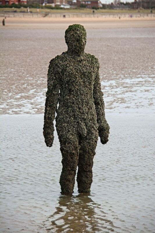 DC 24-0746-049.jpg :: Crosby Beech, Merseyside: Commonly referred to as ‘The Iron Men’ (or even the Crosby Beach statues), the art installation is officially called ‘Another Place’. Another Place was created by world-famous artist and sculptor Sir Antony Gormley, who famously created The Angel of the North. The Iron Men consist of 100 cast iron figures that have been installed along Crosby Beach facing the sea. The figures themselves are modelled from Antony Gormley’s body, and they were cast in the UK in both Halifax and West Bromwich. The Iron Men arrived in Liverpool in July 2005, but their story begins nearly 10 years earlier. In 1997, Another Place was first installed on Cuxhaven beach, in Lower Saxony, Germany. From there, they went to Stavanger in Norway and then to De Panne in Belgium. When The Iron Men found their new home at Crosby Beach in 2005, it was only supposed to be temporary. Photo taken 27/10/2024