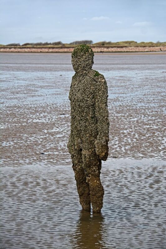 DC 24-0746-050.jpg :: Crosby Beech, Merseyside: Commonly referred to as ‘The Iron Men’ (or even the Crosby Beach statues), the art installation is officially called ‘Another Place’. Another Place was created by world-famous artist and sculptor Sir Antony Gormley, who famously created The Angel of the North. The Iron Men consist of 100 cast iron figures that have been installed along Crosby Beach facing the sea. The figures themselves are modelled from Antony Gormley’s body, and they were cast in the UK in both Halifax and West Bromwich. The Iron Men arrived in Liverpool in July 2005, but their story begins nearly 10 years earlier. In 1997, Another Place was first installed on Cuxhaven beach, in Lower Saxony, Germany. From there, they went to Stavanger in Norway and then to De Panne in Belgium. When The Iron Men found their new home at Crosby Beach in 2005, it was only supposed to be temporary. Photo taken 27/10/2024
