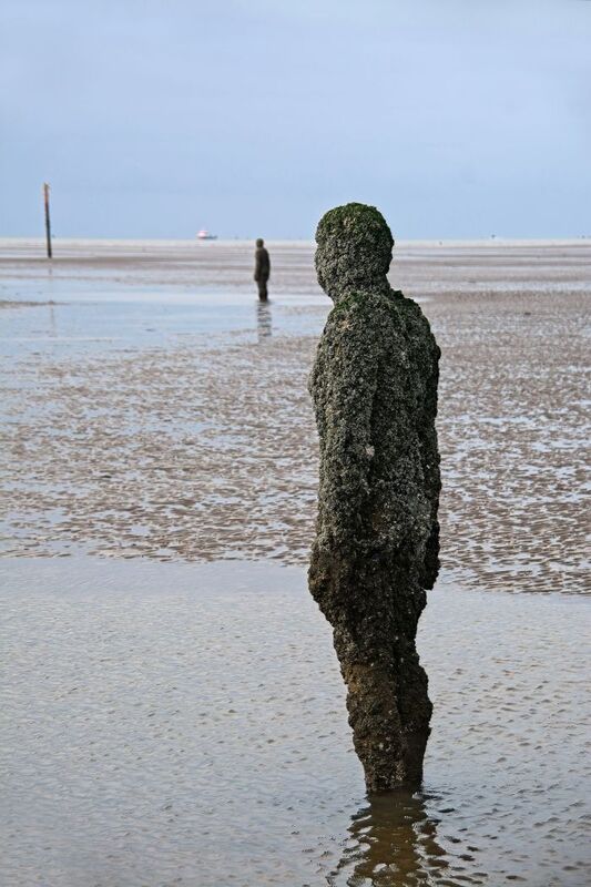DC 24-0746-051.jpg :: Crosby Beech, Merseyside: Commonly referred to as ‘The Iron Men’ (or even the Crosby Beach statues), the art installation is officially called ‘Another Place’. Another Place was created by world-famous artist and sculptor Sir Antony Gormley, who famously created The Angel of the North. The Iron Men consist of 100 cast iron figures that have been installed along Crosby Beach facing the sea. The figures themselves are modelled from Antony Gormley’s body, and they were cast in the UK in both Halifax and West Bromwich. The Iron Men arrived in Liverpool in July 2005, but their story begins nearly 10 years earlier. In 1997, Another Place was first installed on Cuxhaven beach, in Lower Saxony, Germany. From there, they went to Stavanger in Norway and then to De Panne in Belgium. When The Iron Men found their new home at Crosby Beach in 2005, it was only supposed to be temporary. Photo taken 27/10/2024