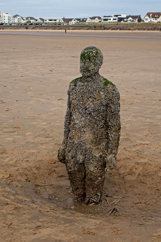 DC 24-0746-052.jpg :: Crosby Beech, Merseyside: Commonly referred to as ‘The Iron Men’ (or even the Crosby Beach statues), the art installation is officially called ‘Another Place’. Another Place was created by world-famous artist and sculptor Sir Antony Gormley, who famously created The Angel of the North. The Iron Men consist of 100 cast iron figures that have been installed along Crosby Beach facing the sea. The figures themselves are modelled from Antony Gormley’s body, and they were cast in the UK in both Halifax and West Bromwich. The Iron Men arrived in Liverpool in July 2005, but their story begins nearly 10 years earlier. In 1997, Another Place was first installed on Cuxhaven beach, in Lower Saxony, Germany. From there, they went to Stavanger in Norway and then to De Panne in Belgium. When The Iron Men found their new home at Crosby Beach in 2005, it was only supposed to be temporary. Photo taken 27/10/2024