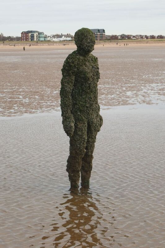 DC 24-0746-053.jpg :: Crosby Beech, Merseyside: Commonly referred to as ‘The Iron Men’ (or even the Crosby Beach statues), the art installation is officially called ‘Another Place’. Another Place was created by world-famous artist and sculptor Sir Antony Gormley, who famously created The Angel of the North. The Iron Men consist of 100 cast iron figures that have been installed along Crosby Beach facing the sea. The figures themselves are modelled from Antony Gormley’s body, and they were cast in the UK in both Halifax and West Bromwich. The Iron Men arrived in Liverpool in July 2005, but their story begins nearly 10 years earlier. In 1997, Another Place was first installed on Cuxhaven beach, in Lower Saxony, Germany. From there, they went to Stavanger in Norway and then to De Panne in Belgium. When The Iron Men found their new home at Crosby Beach in 2005, it was only supposed to be temporary. Photo taken 27/10/2024