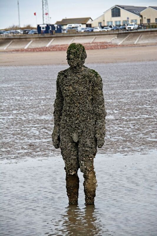 DC 24-0746-054.jpg :: Crosby Beech, Merseyside: Commonly referred to as ‘The Iron Men’ (or even the Crosby Beach statues), the art installation is officially called ‘Another Place’. Another Place was created by world-famous artist and sculptor Sir Antony Gormley, who famously created The Angel of the North. The Iron Men consist of 100 cast iron figures that have been installed along Crosby Beach facing the sea. The figures themselves are modelled from Antony Gormley’s body, and they were cast in the UK in both Halifax and West Bromwich. The Iron Men arrived in Liverpool in July 2005, but their story begins nearly 10 years earlier. In 1997, Another Place was first installed on Cuxhaven beach, in Lower Saxony, Germany. From there, they went to Stavanger in Norway and then to De Panne in Belgium. When The Iron Men found their new home at Crosby Beach in 2005, it was only supposed to be temporary. Photo taken 27/10/2024