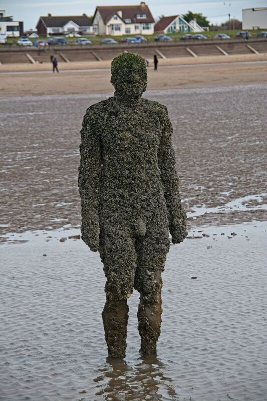 DC 24-0746-055.jpg :: Crosby Beech, Merseyside: Commonly referred to as ‘The Iron Men’ (or even the Crosby Beach statues), the art installation is officially called ‘Another Place’. Another Place was created by world-famous artist and sculptor Sir Antony Gormley, who famously created The Angel of the North. The Iron Men consist of 100 cast iron figures that have been installed along Crosby Beach facing the sea. The figures themselves are modelled from Antony Gormley’s body, and they were cast in the UK in both Halifax and West Bromwich. The Iron Men arrived in Liverpool in July 2005, but their story begins nearly 10 years earlier. In 1997, Another Place was first installed on Cuxhaven beach, in Lower Saxony, Germany. From there, they went to Stavanger in Norway and then to De Panne in Belgium. When The Iron Men found their new home at Crosby Beach in 2005, it was only supposed to be temporary. Photo taken 27/10/2024