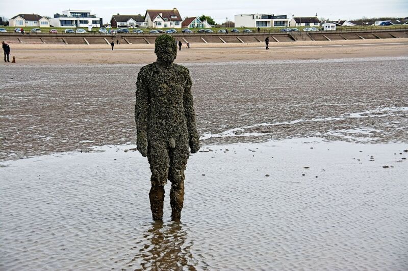 DC 24-0746-056.jpg :: Crosby Beech, Merseyside: Commonly referred to as ‘The Iron Men’ (or even the Crosby Beach statues), the art installation is officially called ‘Another Place’. Another Place was created by world-famous artist and sculptor Sir Antony Gormley, who famously created The Angel of the North. The Iron Men consist of 100 cast iron figures that have been installed along Crosby Beach facing the sea. The figures themselves are modelled from Antony Gormley’s body, and they were cast in the UK in both Halifax and West Bromwich. The Iron Men arrived in Liverpool in July 2005, but their story begins nearly 10 years earlier. In 1997, Another Place was first installed on Cuxhaven beach, in Lower Saxony, Germany. From there, they went to Stavanger in Norway and then to De Panne in Belgium. When The Iron Men found their new home at Crosby Beach in 2005, it was only supposed to be temporary. Photo taken 27/10/2024